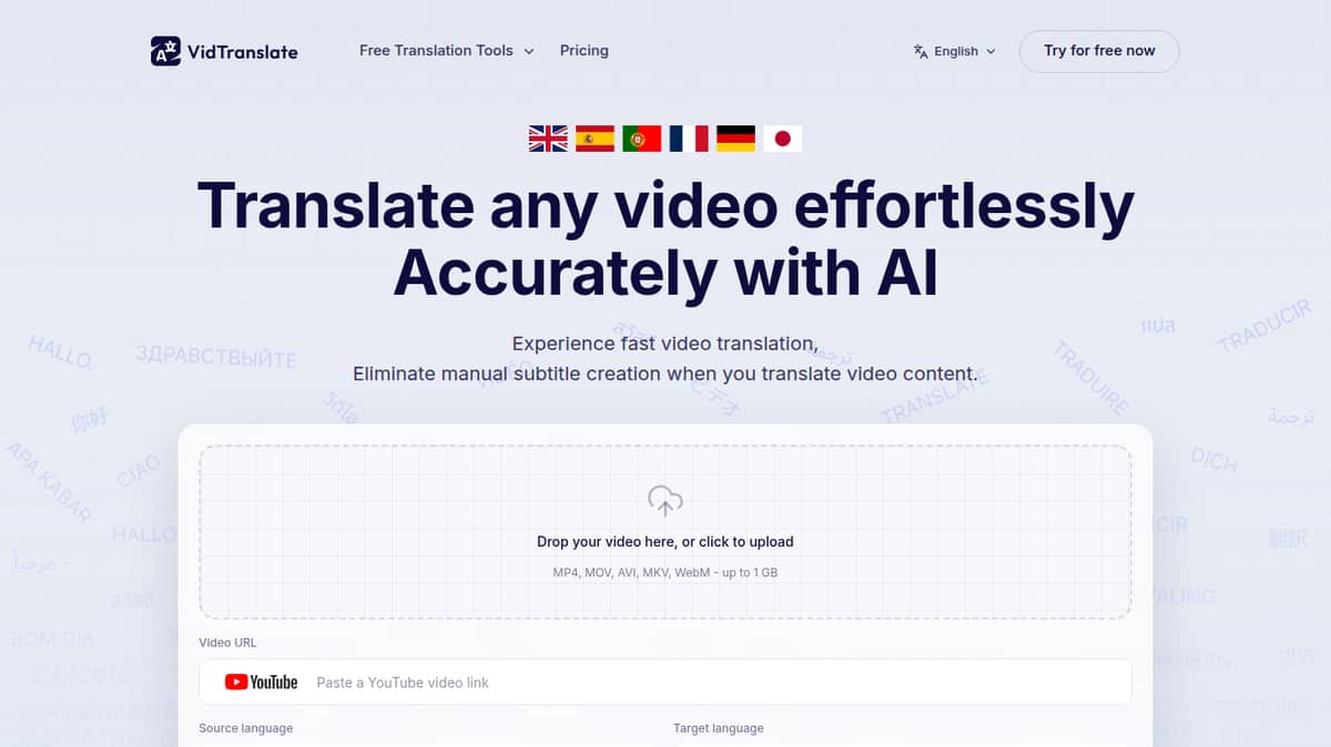 VidTranslate