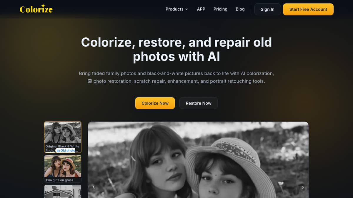 ImageColorizer