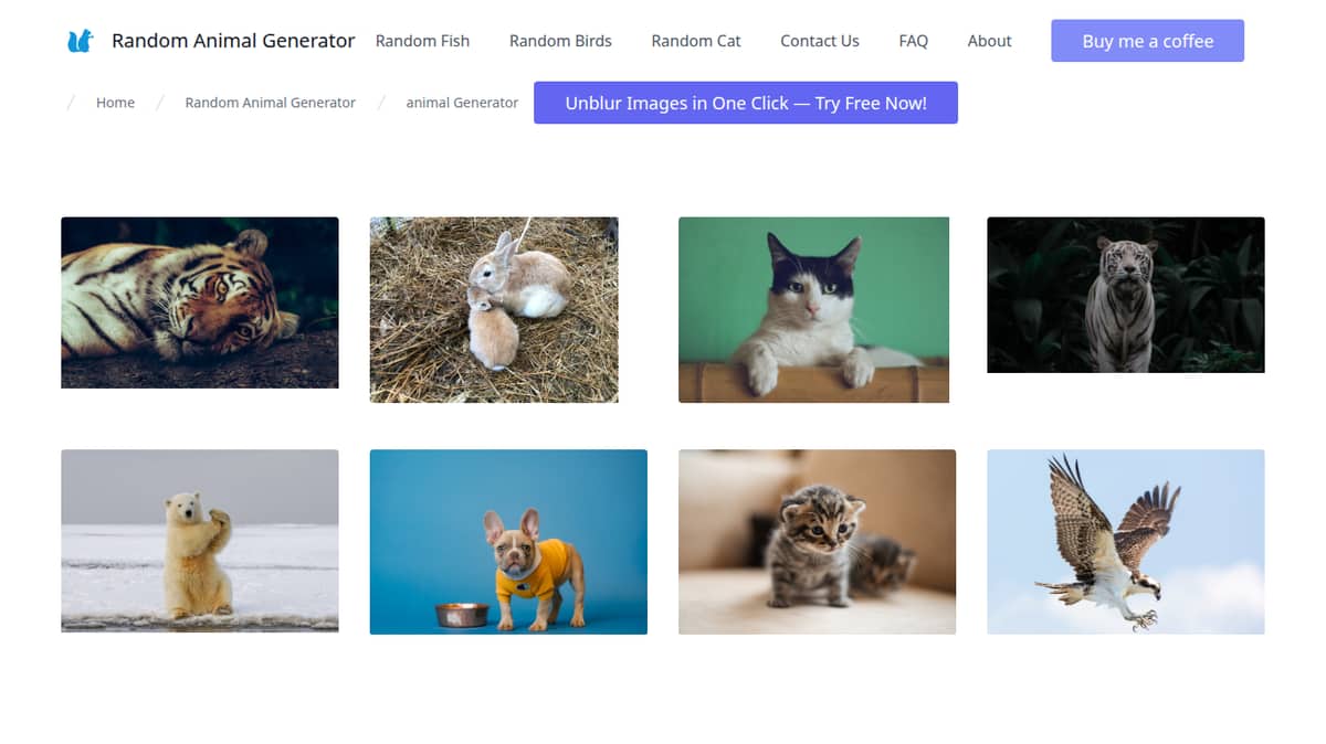 Random Animal Generator