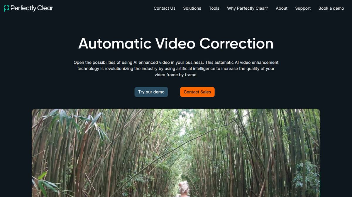 Perfectly Clear Video