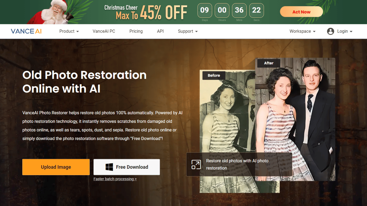 VanceAI Photo Restorer